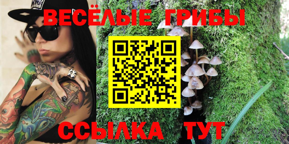 наркошоп  Вход с VPN  Невинномысск  Псилоцибиновые грибы GOLDEN TEACHER 